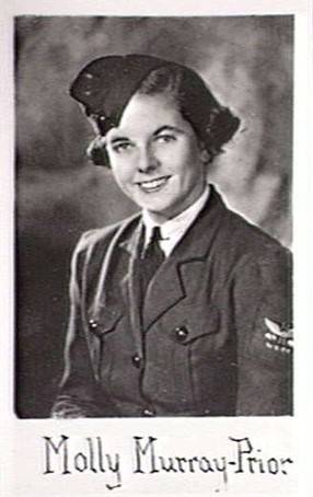 molly_cropped.jpg molly_cropped.jpg