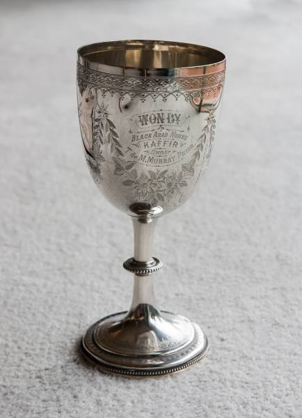 cup_with_horse_name.jpg cup_with_horse_name.jpg