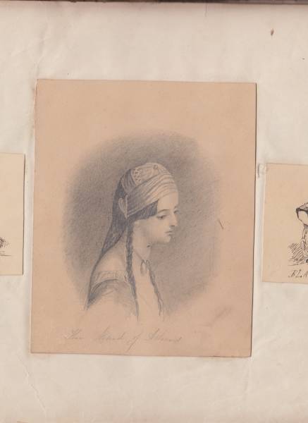 scan_20241201_6_.jpg scan_20241201_6_.jpg