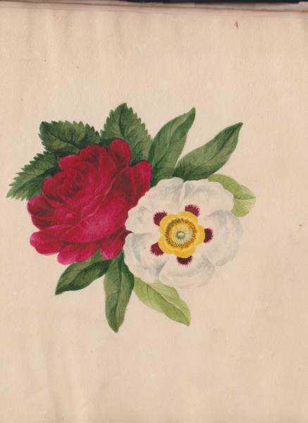 scan_20241201_14_.jpg scan_20241201_14_.jpg