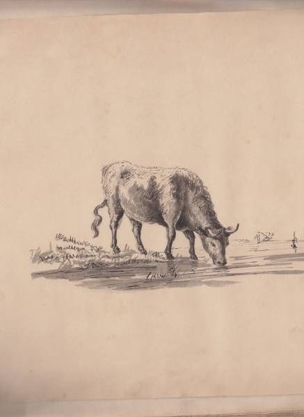 scan_20241126_5_.jpg scan_20241126_5_.jpg