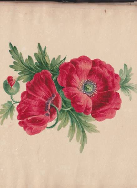 scan_20241201_13_.jpg scan_20241201_13_.jpg