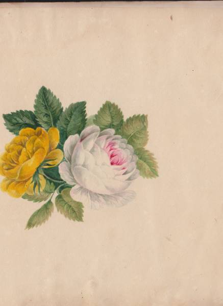 scan_20241201_16_.jpg scan_20241201_16_.jpg