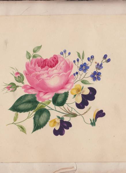 scan_20241201_11_.jpg scan_20241201_11_.jpg