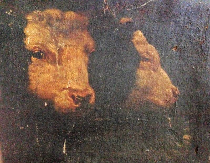 cattle_enhanced.jpg cattle_enhanced.jpg