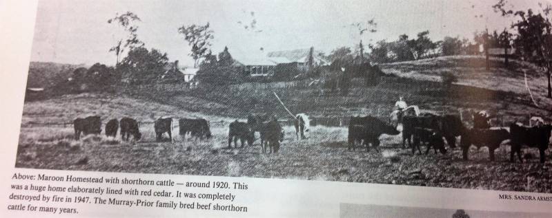 maroon_1920.jpg maroon_1920.jpg