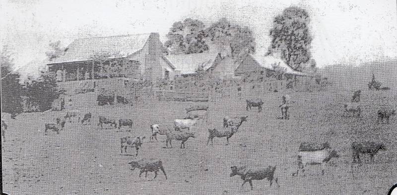 rathdowney_booklet_enhanced.jpeg rathdowney_booklet_enhanced.jpeg