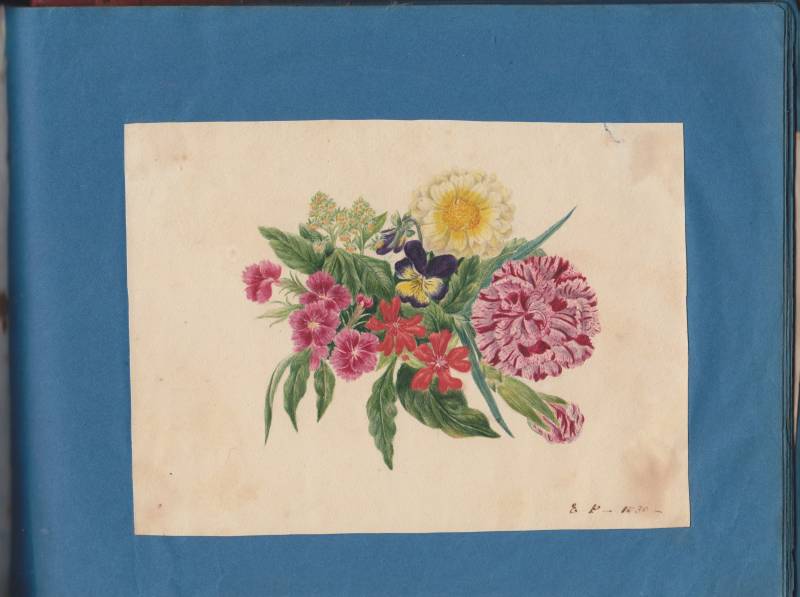 scan_20241201_33_.jpg scan_20241201_33_.jpg