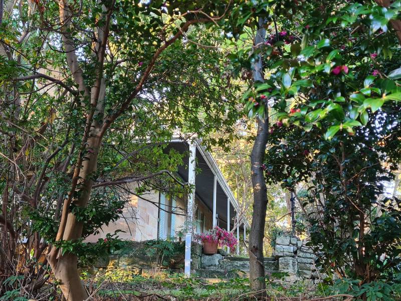 20230611_155436.jpg 20230611_155436.jpg