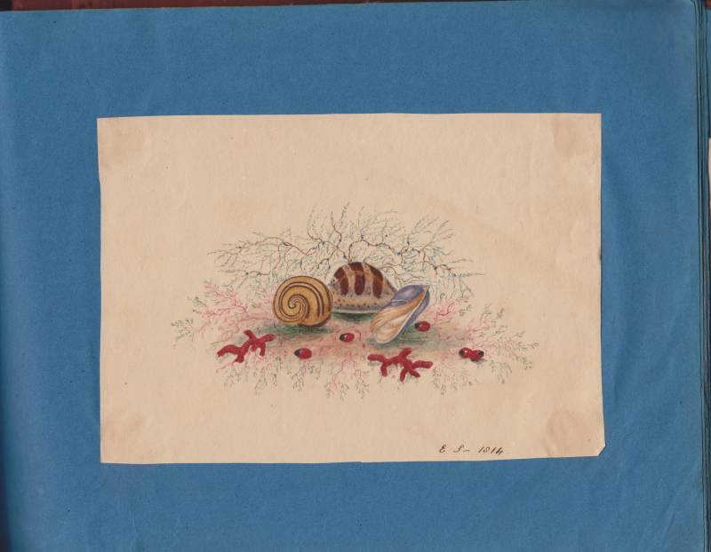 scan_20241201_34_.jpg scan_20241201_34_.jpg