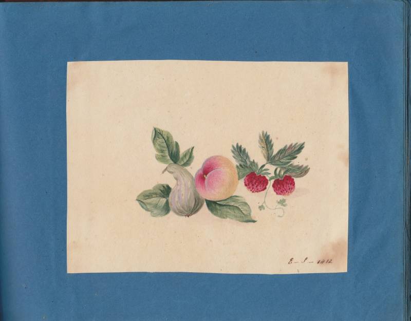 scan_20241201_32_.jpg scan_20241201_32_.jpg