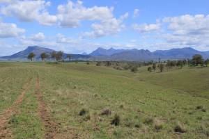 {{:img_6069_mt_barney_mt_ballow_from_adams_creek.jpg?400|