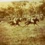 bulliwallah_races_1898.jpg