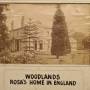 woodlands_20250420_132735.jpg