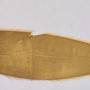 closeup_leaf_other_side_20241221_144338.jpg