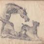 scan_20241201.jpg