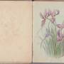 emily_s_paterson_scan_20241206_3_.jpg