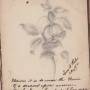 lucy_peele_drawing_scan_20241206_2_.jpg